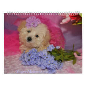 Doodle Puppy Hund Kalender