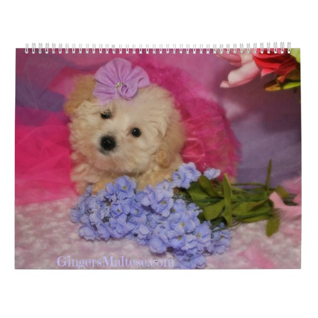 Doodle Puppy Hund Kalender (Baksida)