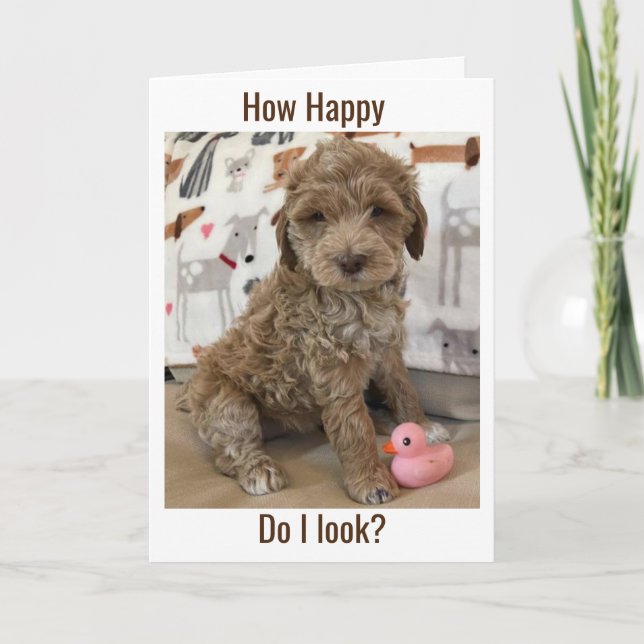 DOODLE VALP ÖNSKEMÅL DU EN **A SENARE GRATTIS PÅ F KORT (Framsida)