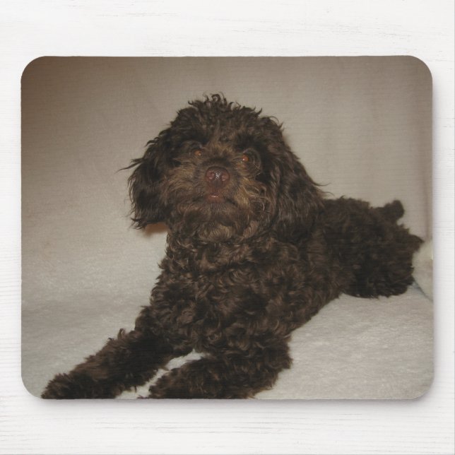 doogymousepad musmatta (Framsidan)