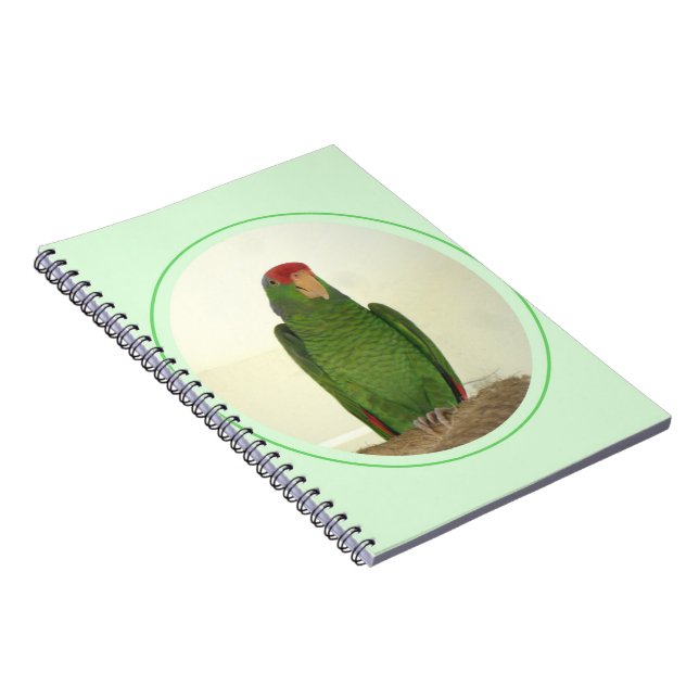 Dooley the Parrot Anteckningsbok (Högra Sidan)