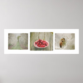 Door County Cherry Trio Poster