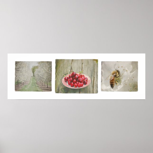 Door County Cherry Trio Poster (Framsidan)