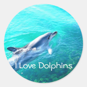 Dophin School Binder Teacher Reward Sticker Runt Klistermärke