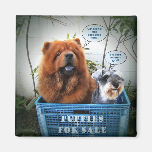 Doppor för försäljning magnet (Framsidan)