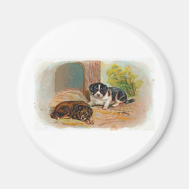 Doppor Magnet (Framsidan)