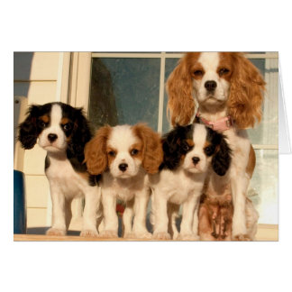 Doppor på porten hälsningskort