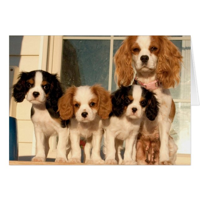 Doppor på porten hälsningskort (Framsidan Horizontal)