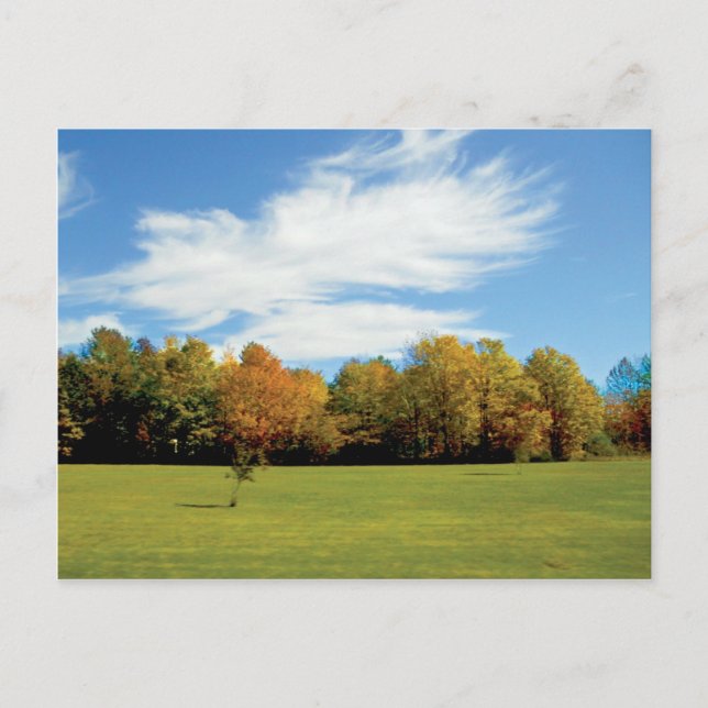 Dor County Fall Vykort (Framsida)