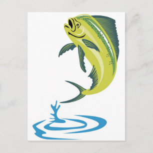 Dorado dolphin fish eller mahi mahi mahi vykort