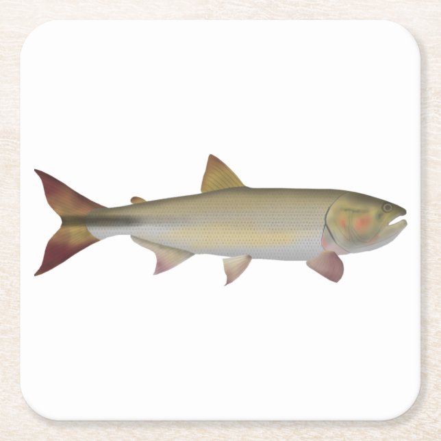 Dorado Underlägg Papper Kvadrat (Framsidan)