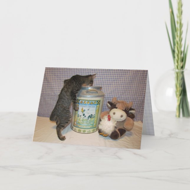 Doras Födelsedagsfest - Katt/Kittfödelsedagskort Kort (Framsida)