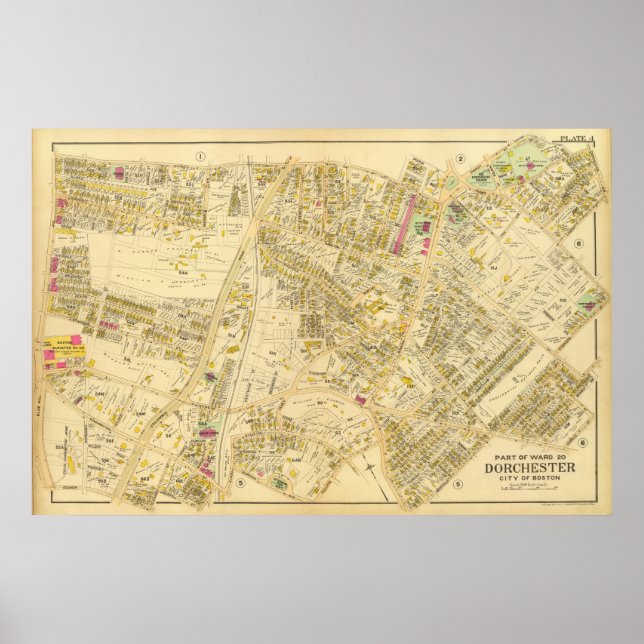 Dorchester, Massachusetts 7 Poster (Framsidan)