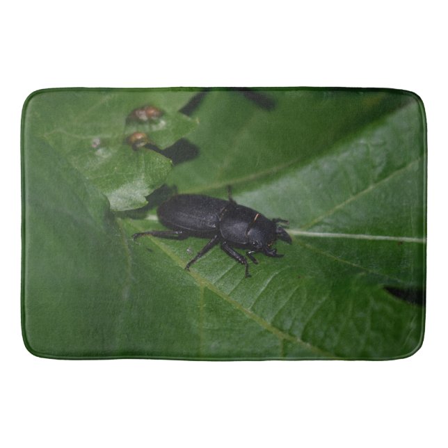 Dorcus parallelipipedus , den mindre stamskalbagge badrumsmatta (Framsidan)