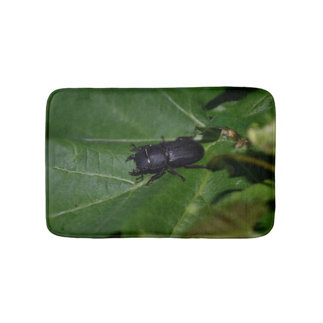 Dorcus parallelipipedus , den mindre stamskalbagge badrumsmatta (Framsidan)