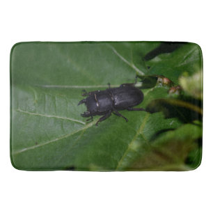 Dorcus parallelipipedus , den mindre stamskalbagge badrumsmatta