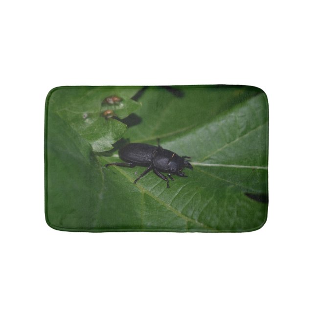 Dorcus parallelipipedus , den mindre stamskalbagge badrumsmatta (Framsidan)