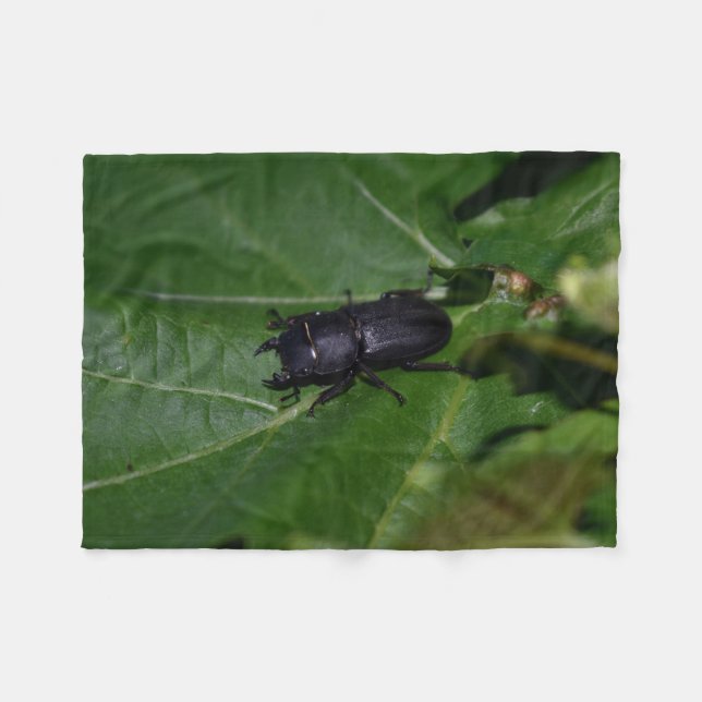 Dorcus parallelipipedus , den mindre stamskalbagge fleecefilt (Framsidan (Horisontell))