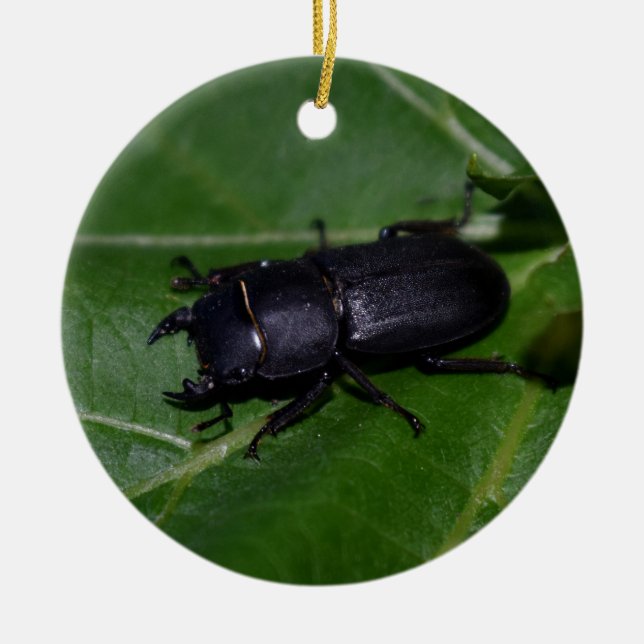 Dorcus parallelipipedus , den mindre stamskalbagge julgransprydnad keramik (Framsidan)