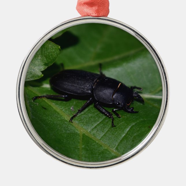 Dorcus parallelipipedus , den mindre stamskalbagge julgransprydnad metall (Framsidan)