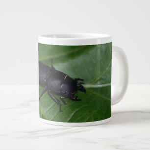 Dorcus parallelipipedus , den mindre stamskalbagge jumbo mugg