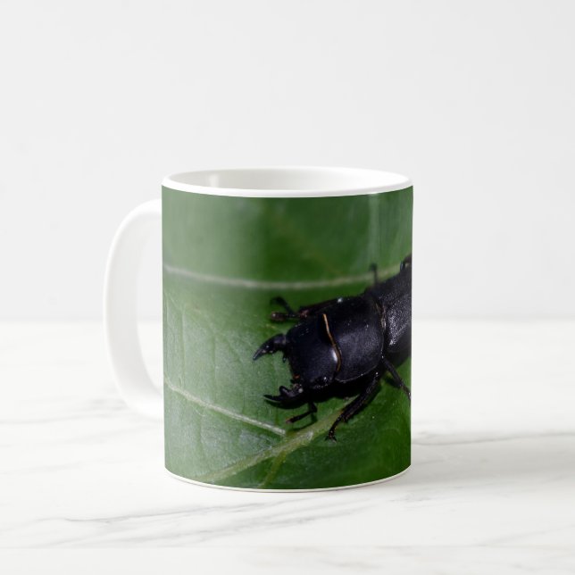 Dorcus parallelipipedus , den mindre stamskalbagge kaffemugg (Framsida vänster)
