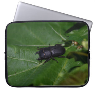 Dorcus parallelipipedus , den mindre stamskalbagge laptop fodral