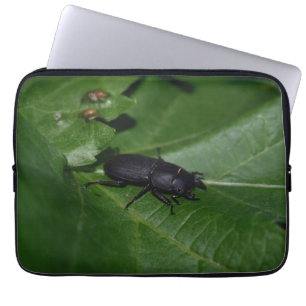 Dorcus parallelipipedus , den mindre stamskalbagge laptop fodral