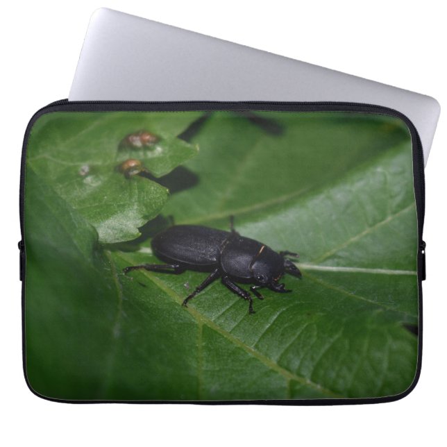 Dorcus parallelipipedus , den mindre stamskalbagge laptop fodral (Framsidan)