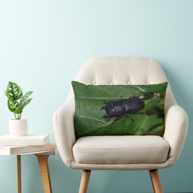 Dorcus parallelipipedus , den mindre stamskalbagge lumbarkudde (Stol)