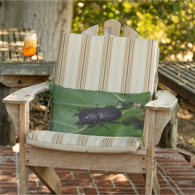 Dorcus parallelipipedus , den mindre stamskalbagge lumbarkudde (Stol)