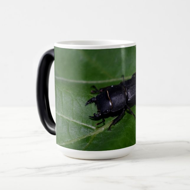 Dorcus parallelipipedus , den mindre stamskalbagge magisk mugg (Framsida vänster)