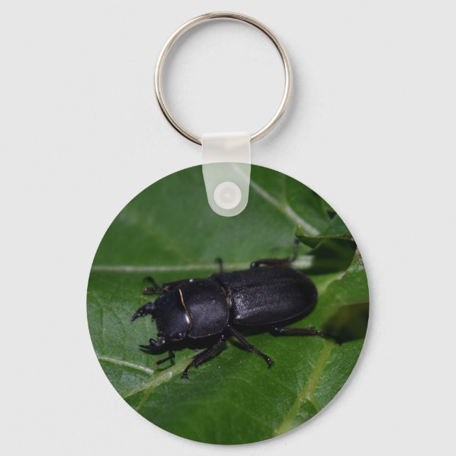 Dorcus parallelipipedus , den mindre stamskalbagge nyckelring (Framsida)