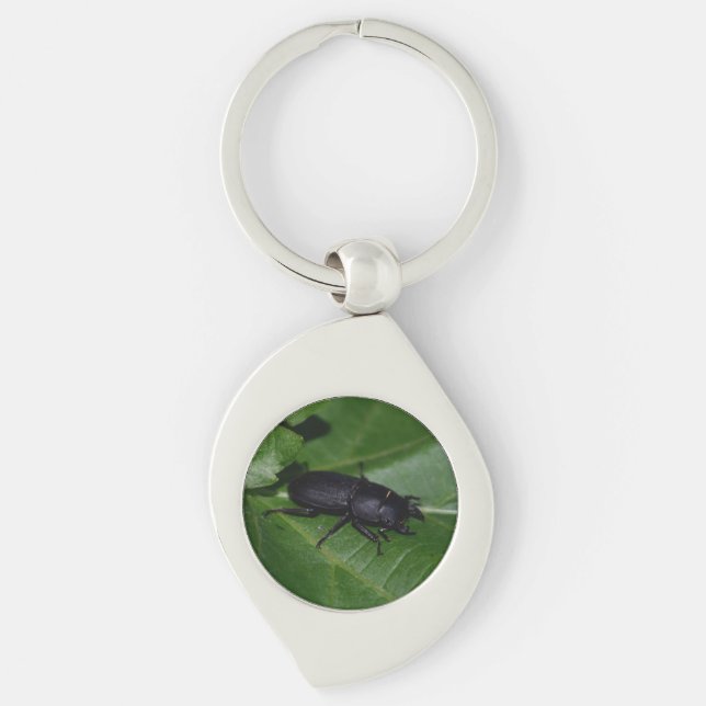 Dorcus parallelipipedus , den mindre stamskalbagge swirl silverfärgad nyckelring (Framsidan)