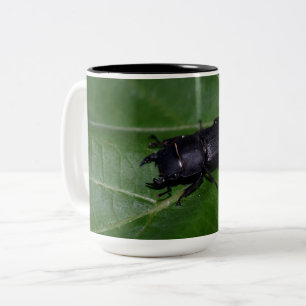 Dorcus parallelipipedus , den mindre stamskalbagge Två-Tonad mugg