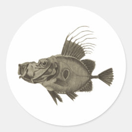 Doree fisk illustration runt klistermärke