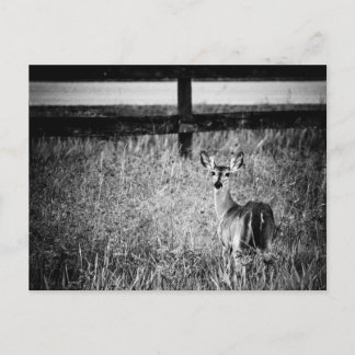 Dörfoto - vykort