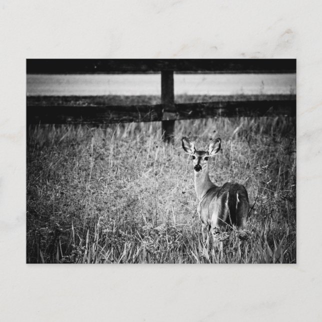 Dörfoto - vykort (Framsida)