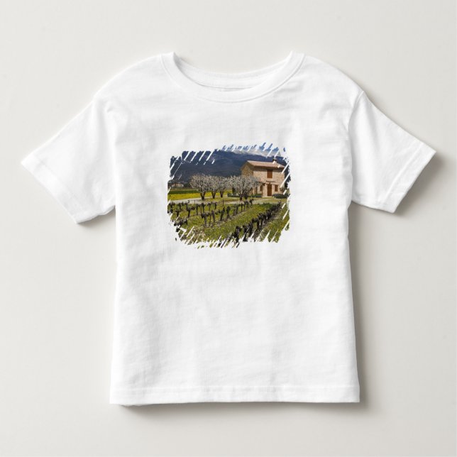 Dormant vingård, fruktblommar, stenhus, t-shirt (Framsida)