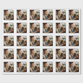 Dorothy och hennes storhetstid presentpapper