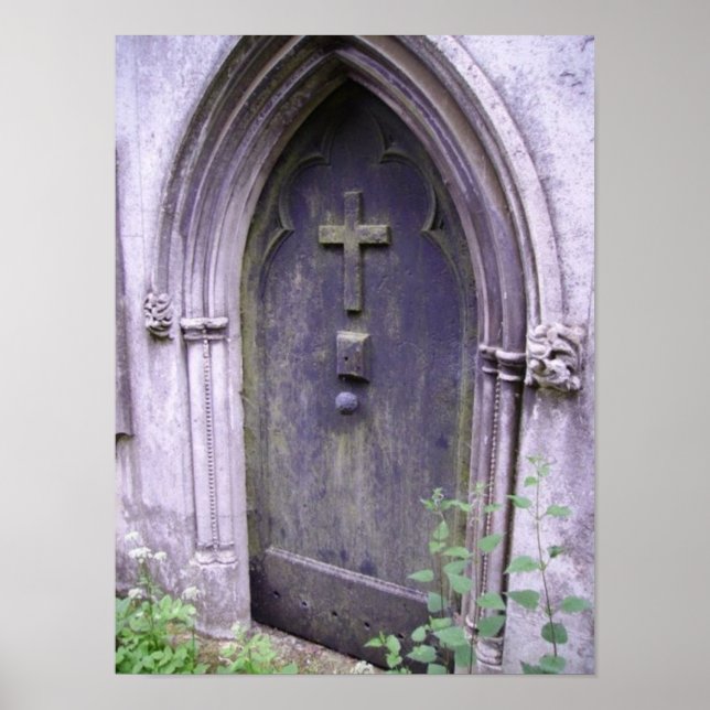 Dörr för skönhet poster (Framsidan)