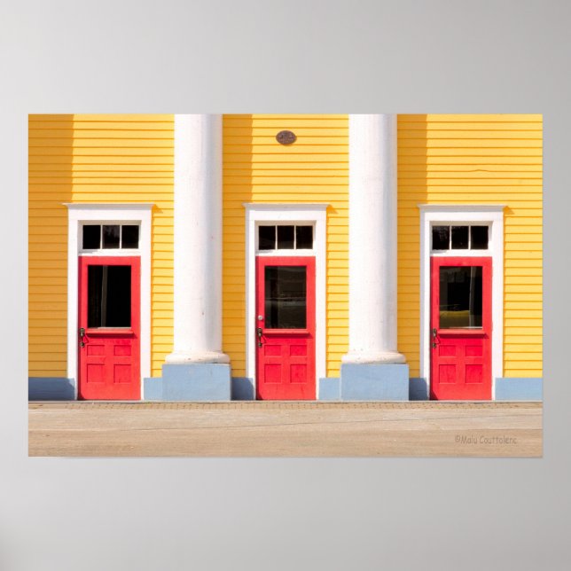 Dörrarna Poster (Framsidan)