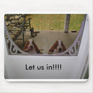 Dörren för valpar baktill, l5At oss in!!!! Musmatta