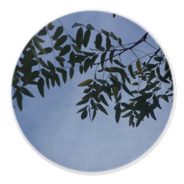 DÖRRHANDTAG KERAMISK STIL DESIGN KNOPP (Framsidan)