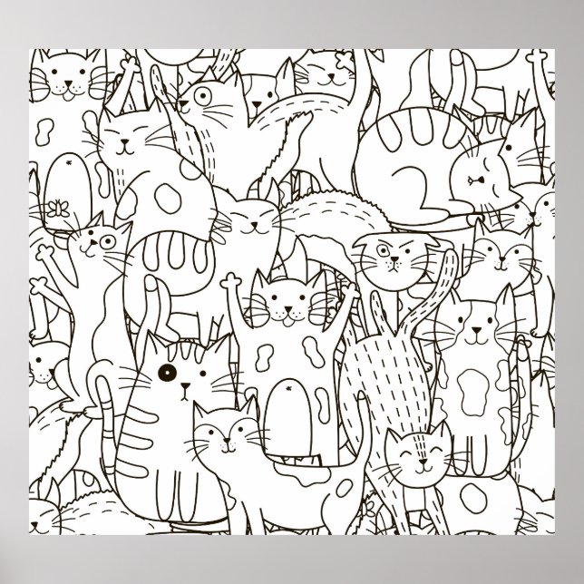 Dörrkatt: svart och vit. poster (Framsidan)