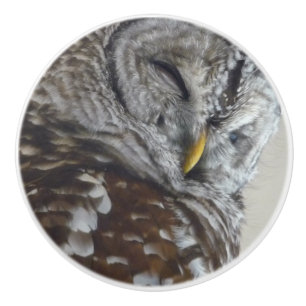 Dörrknopp av keramiskt uggla knopp