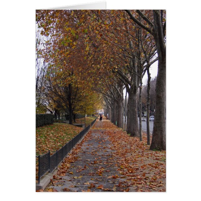 d'Orsay Quai OBS Kort (Framsidan)