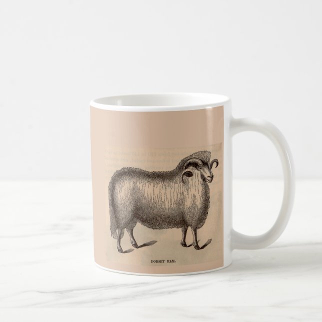Dorset-ram på 1800-talet kaffemugg (Höger)