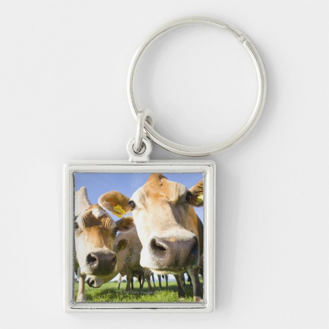 Dorset UK Fyrkantig Silverfärgad Nyckelring (Framsidan)