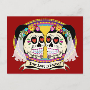 Dos Novias (2 Brides) vykort